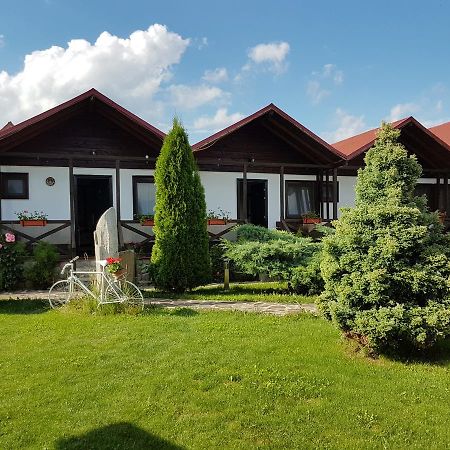Pensiunea Valea Argesului Albestii Paminteni Exteriér fotografie
