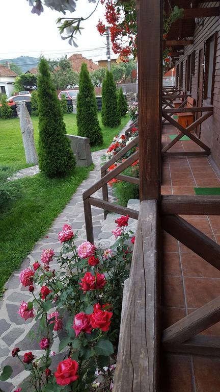 Pensiunea Valea Argesului Albestii Paminteni Exteriér fotografie
