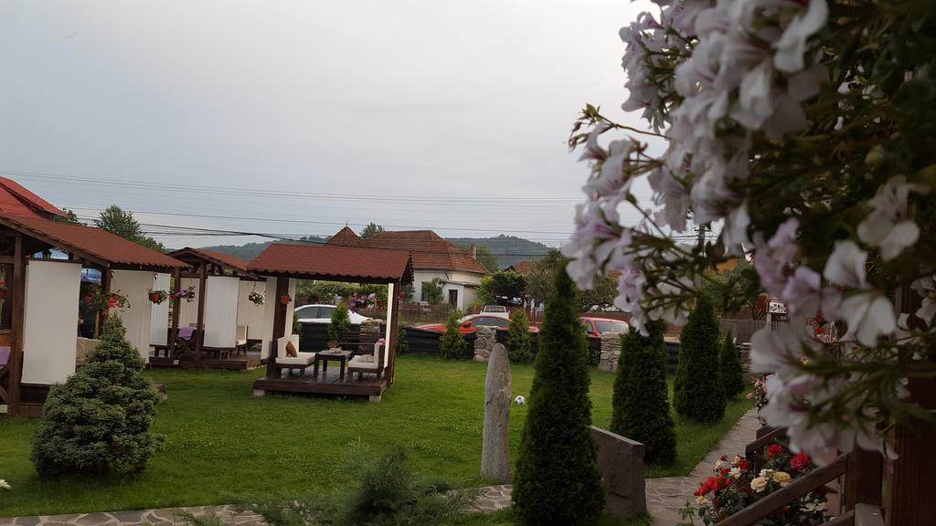 Pensiunea Valea Argesului Albestii Paminteni Exteriér fotografie
