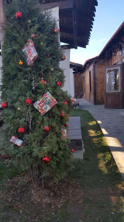 Pensiunea Valea Argesului Albestii Paminteni Exteriér fotografie