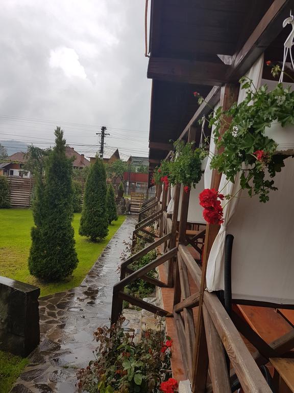 Pensiunea Valea Argesului Albestii Paminteni Exteriér fotografie