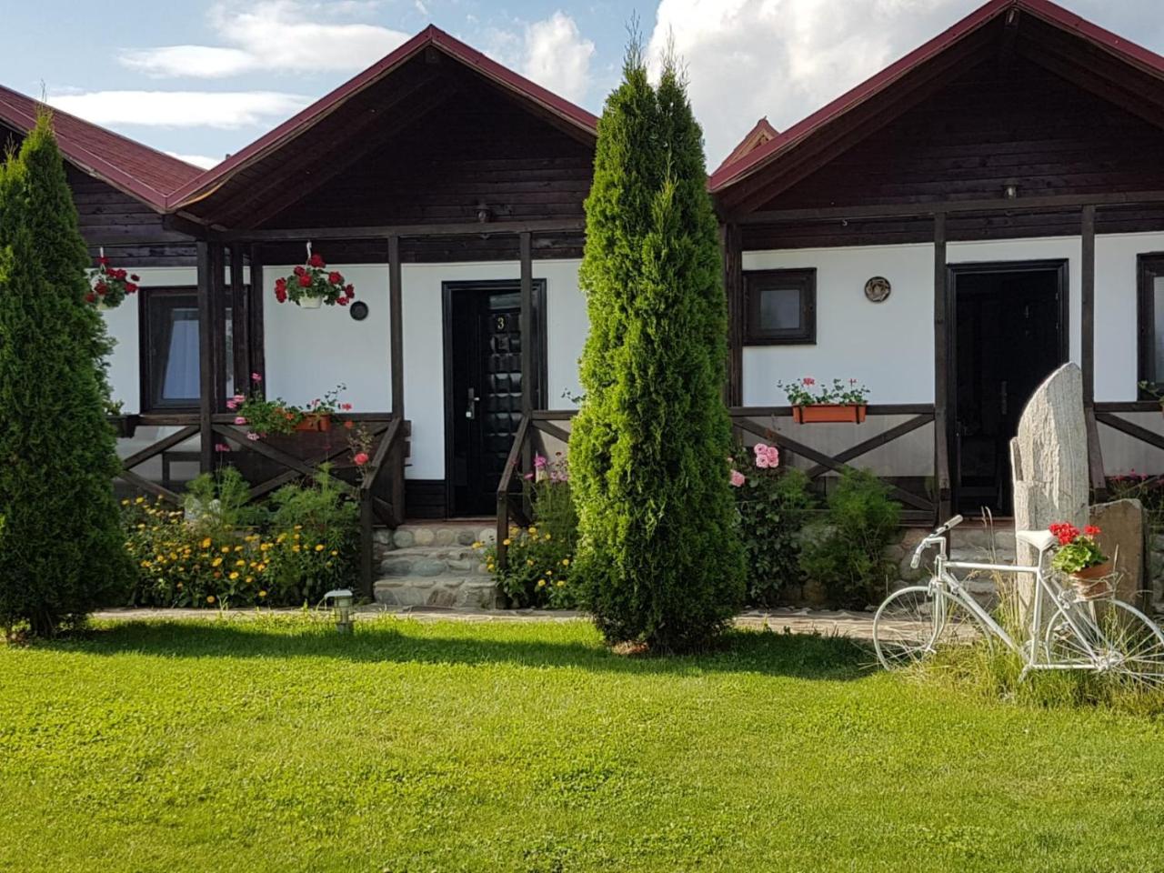 Pensiunea Valea Argesului Albestii Paminteni Exteriér fotografie