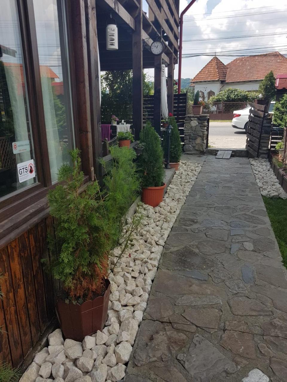 Pensiunea Valea Argesului Albestii Paminteni Exteriér fotografie