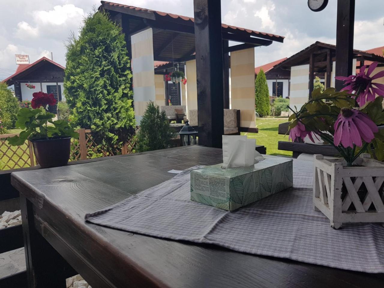 Pensiunea Valea Argesului Albestii Paminteni Exteriér fotografie